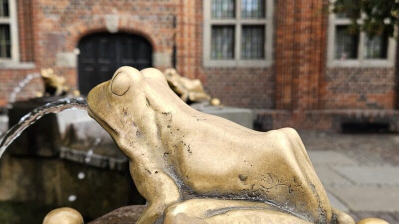Śląskie Amazonki na dwudniowej wycieczce Bydgoszcz- Toruń w 2025 r.